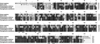 Cloning and Characterization of Cholesterol 25-Hydroxylase (ch25h) From a Marine Teleost, Chinese Tongue Sole (Cynoglossus semilaevis), and Its Gene Expressions in Response to Dietary Arachidonic Acid